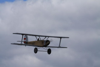img_9500_20111205_1502427488